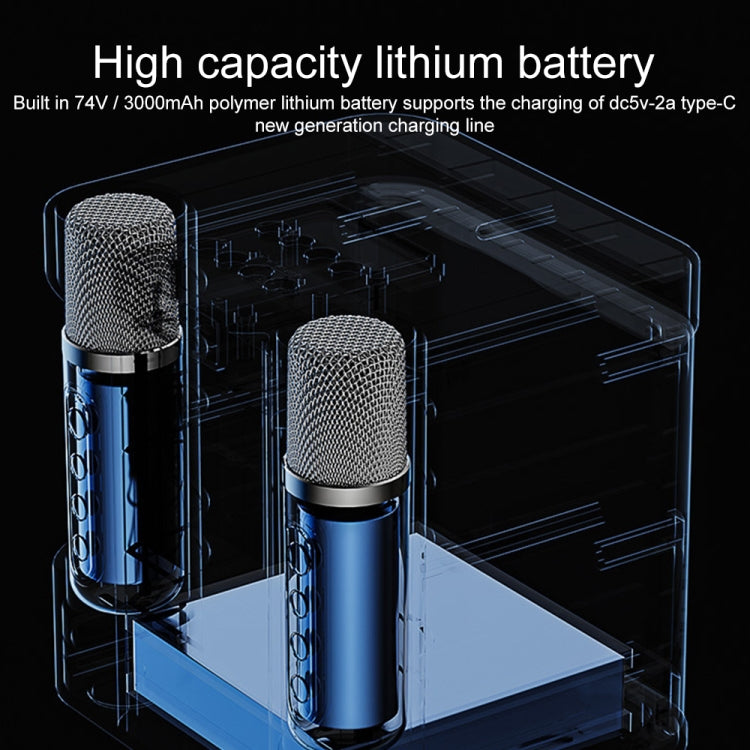 YS-203 Bluetooth Karaoke Speaker Wireless Microphone(Black) - Microphone by PMC TechLife | Online Shopping South Africa | PMC TechLife