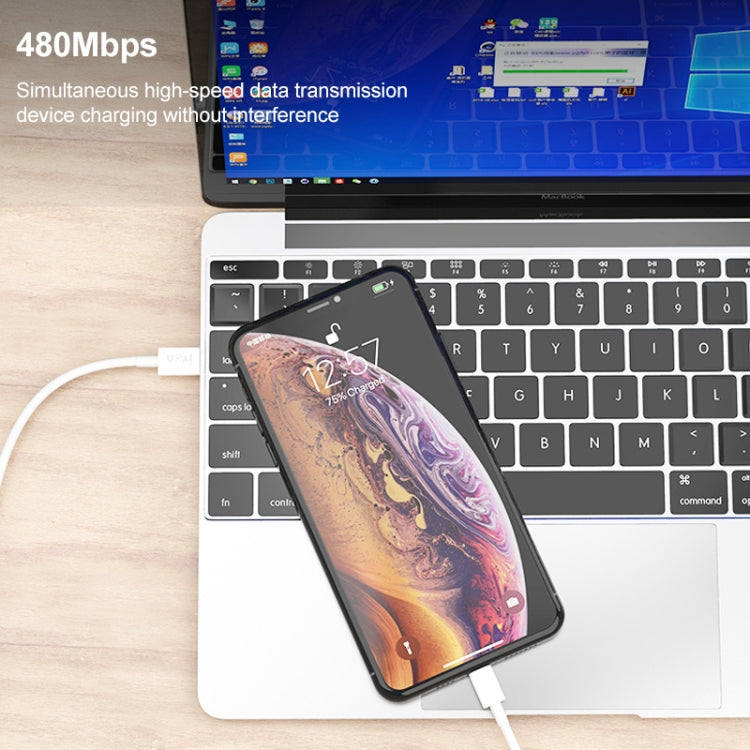 IVON CA93 20W PD USB-C / Type-C to 8 Pin TPE Fast Charging Data Cable, Cable Length: 1m - 2 in 1 Cable by IVON | Online Shopping South Africa | PMC TechLife | Buy Now Pay Later Mobicred