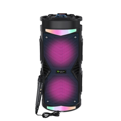 NewRixing NRG6601A Outdoor Portable Karaoke Wireless Speaker 20W Audio Amplifier With Mic(C) - Desktop Speaker by NewRixing | Online Shopping South Africa | PMC Jewellery | Buy Now Pay Later Mobicred