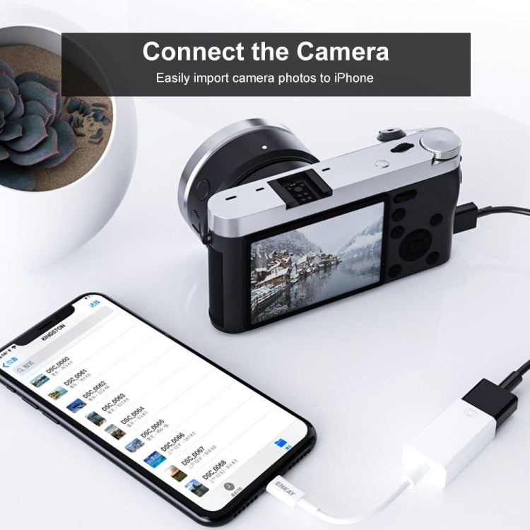 ENKAY ENK-AT108 8 Pin to USB 3.0 OTG Adapter Data Cable for iPhone / iPad - Converter & Adapter by ENKAY | Online Shopping South Africa | PMC TechLife