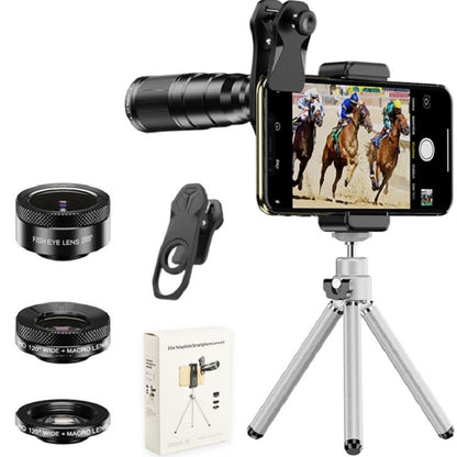 APEXEL APL-22X105 4 in 1 Metal 22X Telephoto + Fisheye + Wide Angle + Macro Starlight Polarization Universal External Mobile Phone Lens Set - Macro & Wide-angle by APEXEL | Online Shopping South Africa | PMC Jewellery