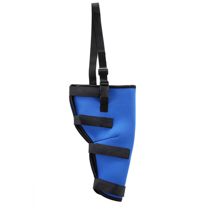 HJ19 Pet Surgery Rehabilitation Back Leg Protector Walking Aids, Size: M(Blue Left Back Leg) - Pet Care by PMC Jewellery | Online Shopping South Africa | PMC Jewellery