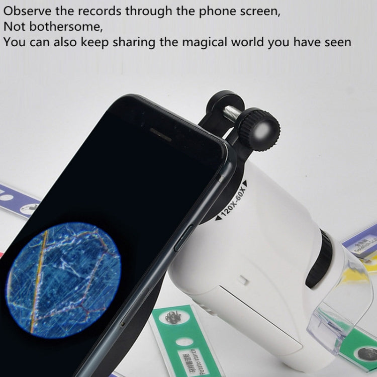 Children Handheld Portable Laboratory Equipment Microscope Toys, Colour: Lite + Bracket (Blue) - Digital Microscope by PMC TechLife | Online Shopping South Africa | PMC TechLife | Buy Now Pay Later Mobicred